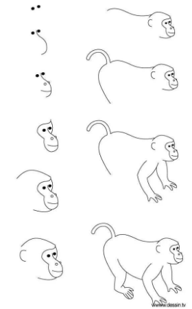 Maymun fikri 6 çizimi