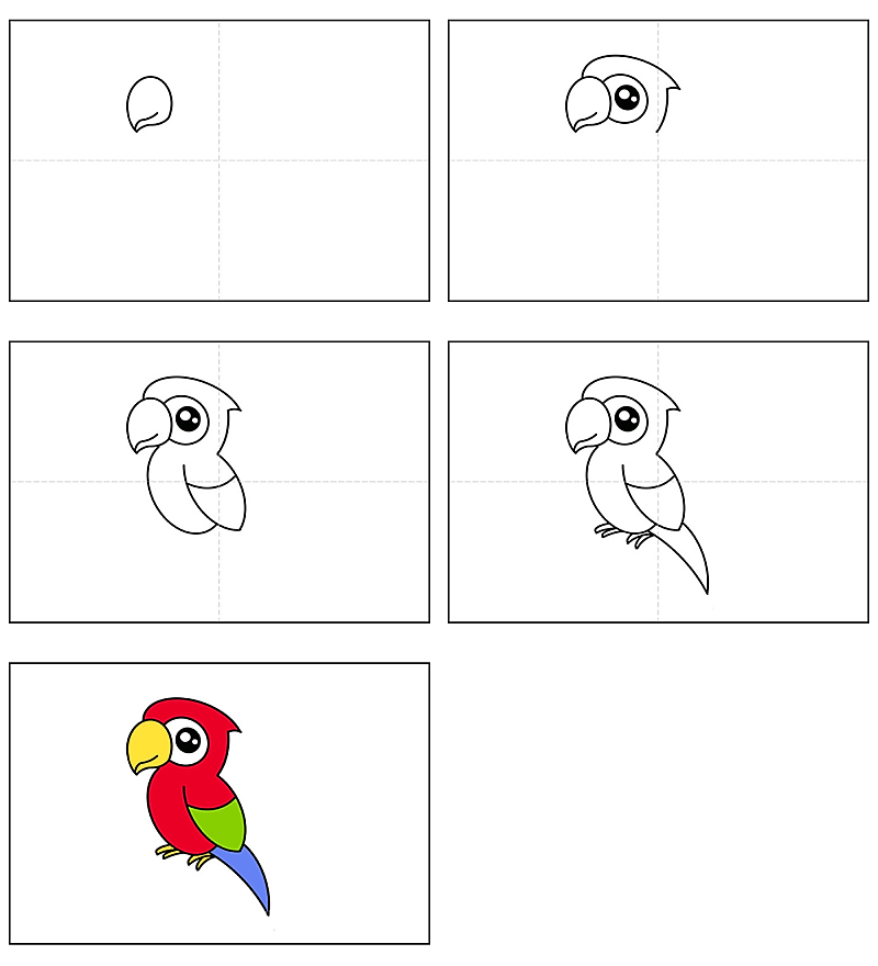 Papağan fikri 12 çizimi