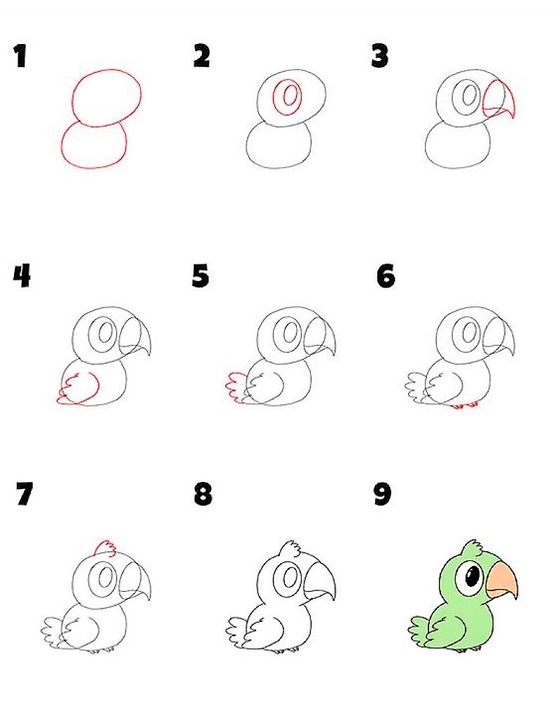 Papağan fikri 5 çizimi