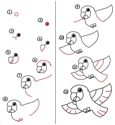 Papağan fikri 6 çizimi