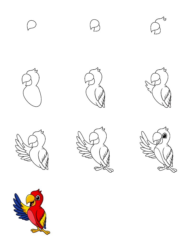 Papağan fikri 7 çizimi