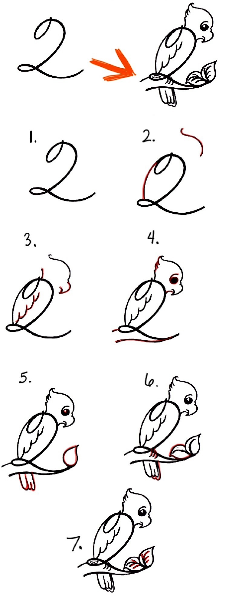 Papağan fikri 9 çizimi