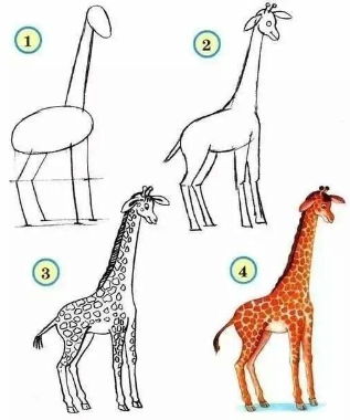 Zürafa fikri 3 çizimi