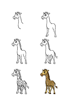 Zürafa fikri 5 çizimi
