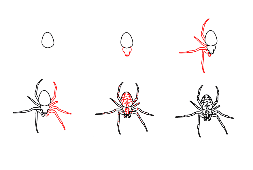 Ayrıntılı adım adım örümcek çizimi