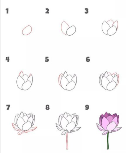 Basit bir lotus çizimi
