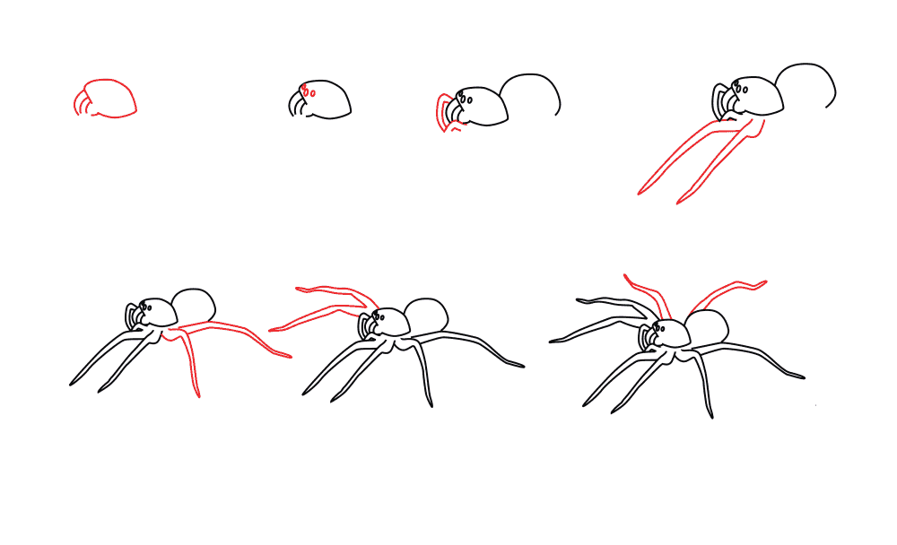 Basit bir adım adım örümcek çizimi