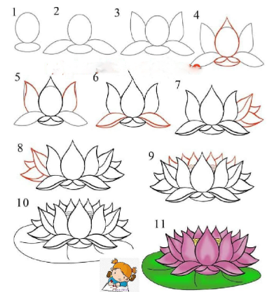 Lotus fikri 6 çizimi