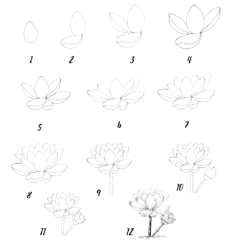 Lotus fikri 8 çizimi