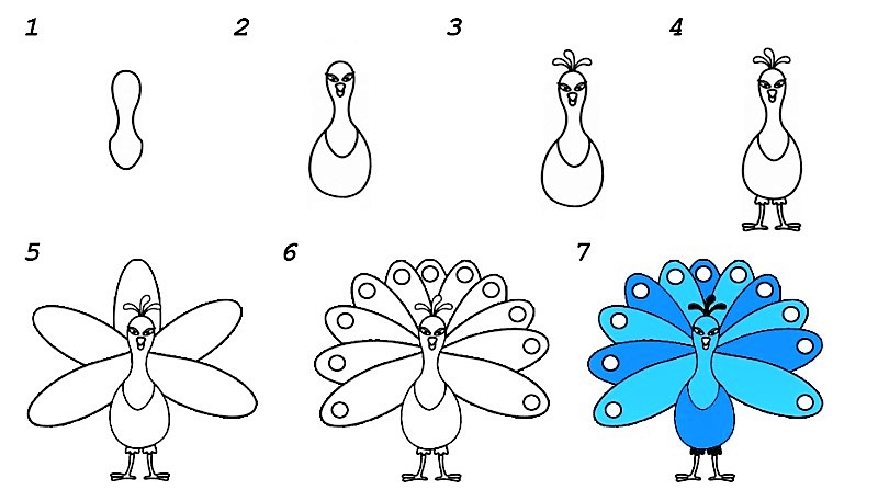 Tavus kuşu fikri 6 çizimi