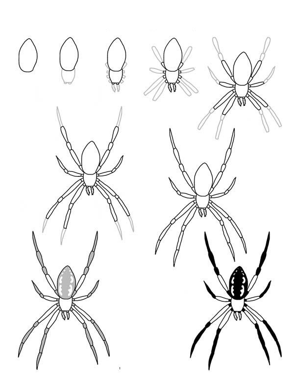 Örümcek fikri 5 çizimi