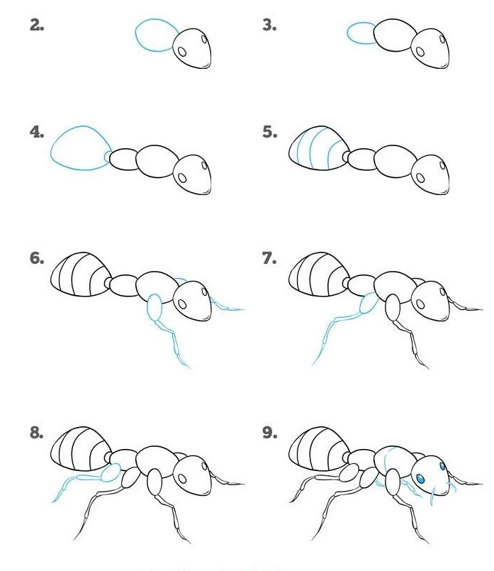Adım adım ayrıntılı bir karınca çizimi