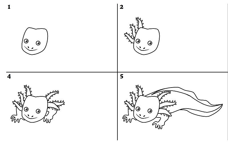 Axolotl 7 fikri çizimi