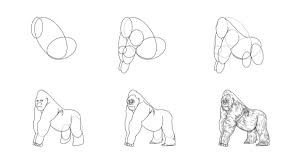 Goril Fikirleri 6 çizimi
