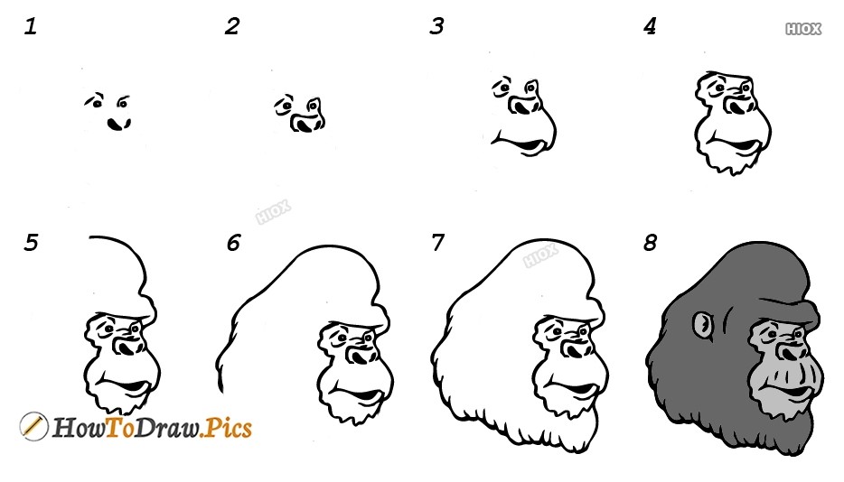 Goril Kafası çizimi