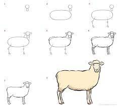 Koyun fikri 12 çizimi