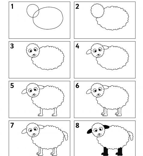 Koyun fikri 6 çizimi