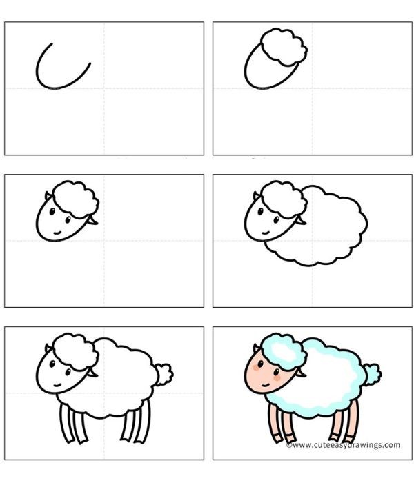 Koyun fikri 8 çizimi