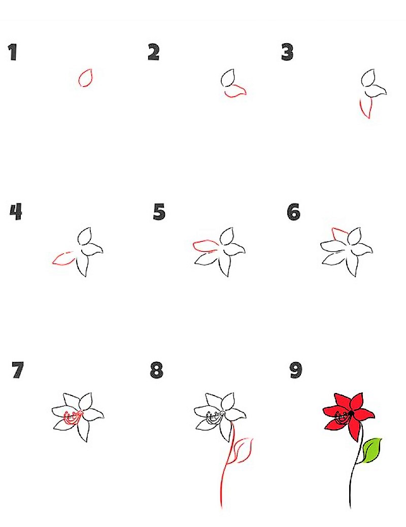 Zambak çiçeği fikri 2 çizimi