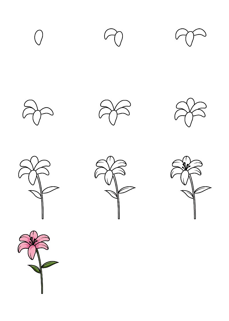 Zambak çiçeği fikri 6 çizimi