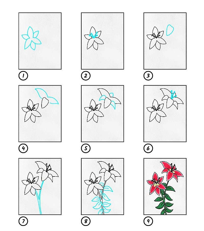 Zambak çiçeği fikri 7 çizimi