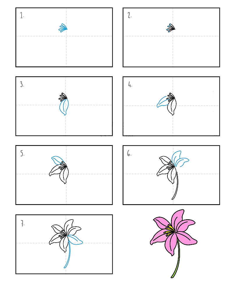 Zambak çiçeği fikri 9 çizimi