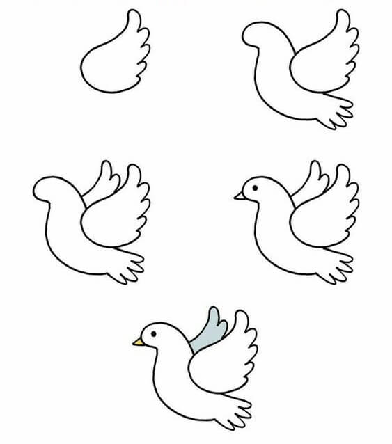 Basit güvercin 2 çizimi