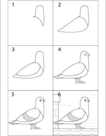 Beyaz güvercinler çizimi