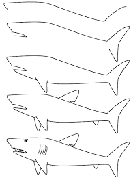 Beyaz köpekbalığı 2 çizimi
