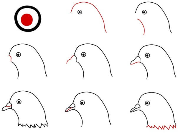 Güvercin yüzü çizimi