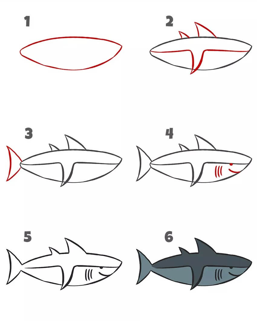 Köpekbalığı olgun çizimi