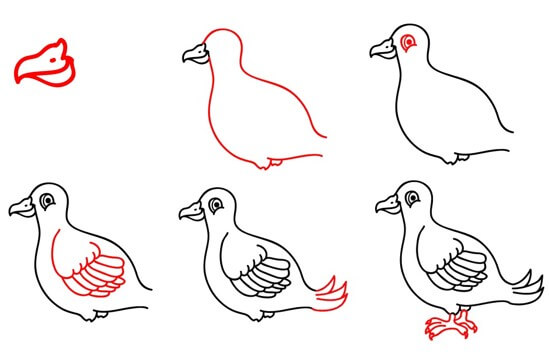 Karikatür güvercin çizimi