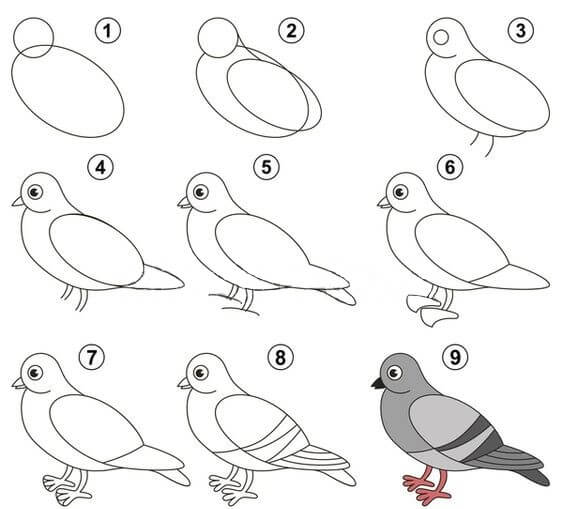 Karikatür güvercin çizimi