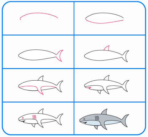 Kum köpekbalığı çizimi