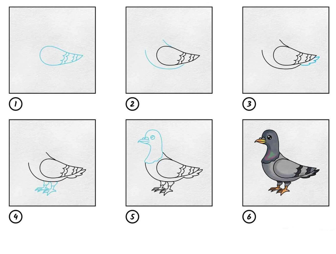Mavi güvercin 2 çizimi