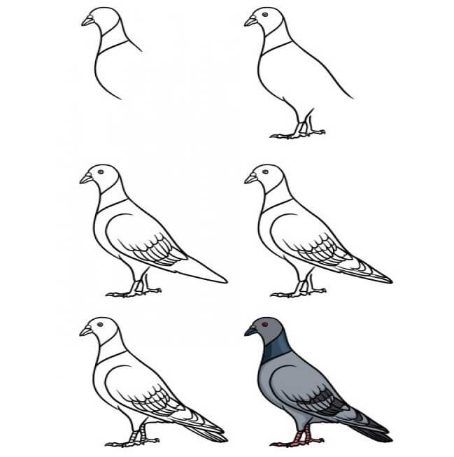 Mavi güvercin çizimi