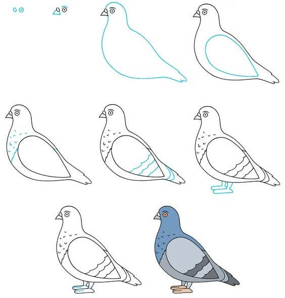 Mavi güvercin çizimi