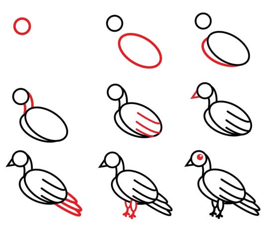 Çocuklar için güvercin çizimi