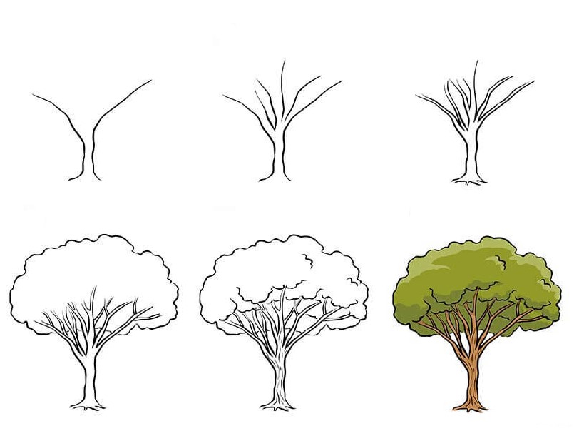 Ağaç fikri (1) çizimi