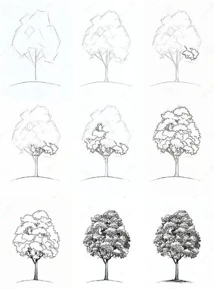 Ağaç fikri (14) çizimi