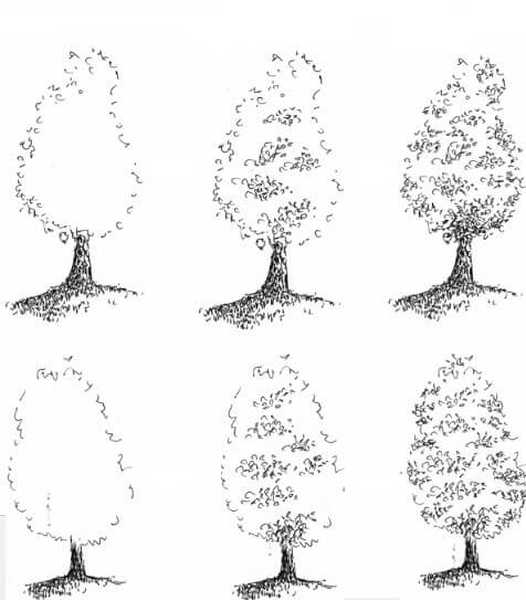 Ağaç fikri (4) çizimi