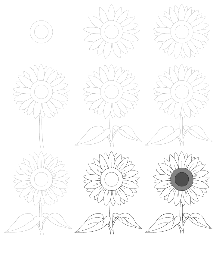 Basit ayçiçeği çizimi (1) çizimi