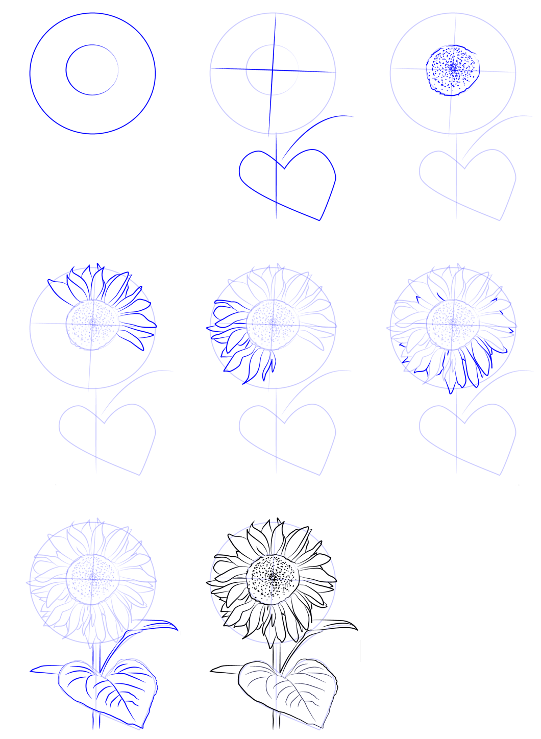 Basit ayçiçeği çizimi (2) çizimi