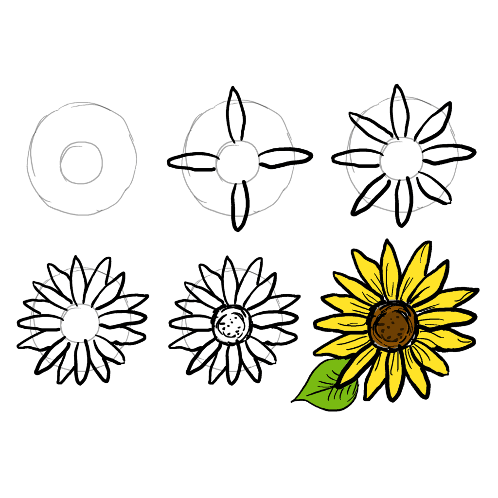 Basit ayçiçeği çizimi (3) çizimi