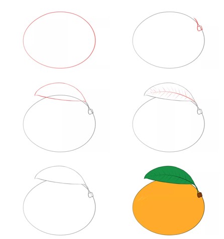 Basit bir mango çizin çizimi