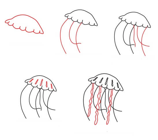 Basit denizanası çizimi çizimi