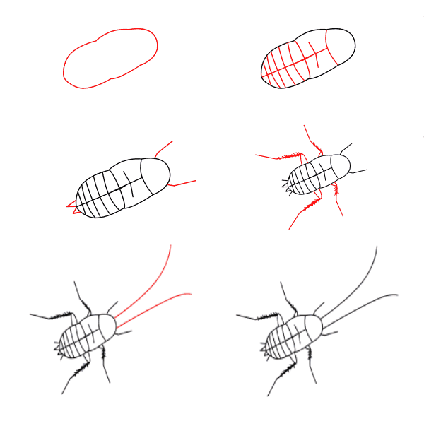 Bebek hamamböceği çizimi