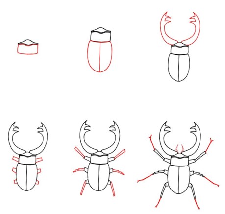 Bir böcek fikri (10) çizimi