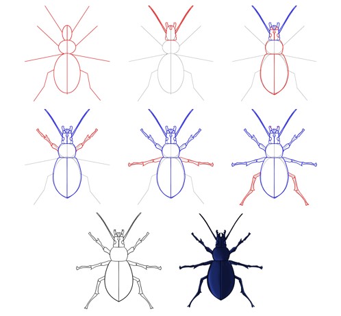 Bir böcek fikri (11) çizimi