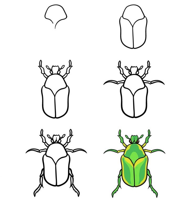 Bir böcek fikri (15) çizimi
